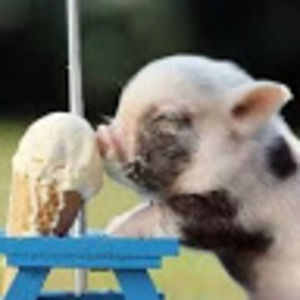 Meet your Posher, Brynn